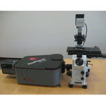 新的显微镜界面可以使用单个系统实现高质量的成像和光谱