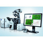 采用IX83倒置显微镜框架进行高含量筛选