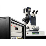 新的3 d超分辨率系统本地化显微镜