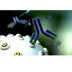 Antibodies_and_recombinant_proteins_randox