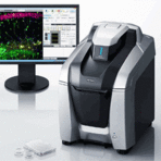 BZ-X700 All-in-one Fluorescence Microscope